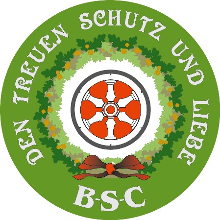 Logo BSC
