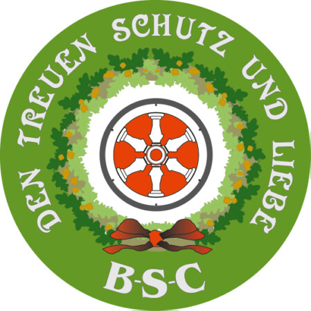 Logo BSC