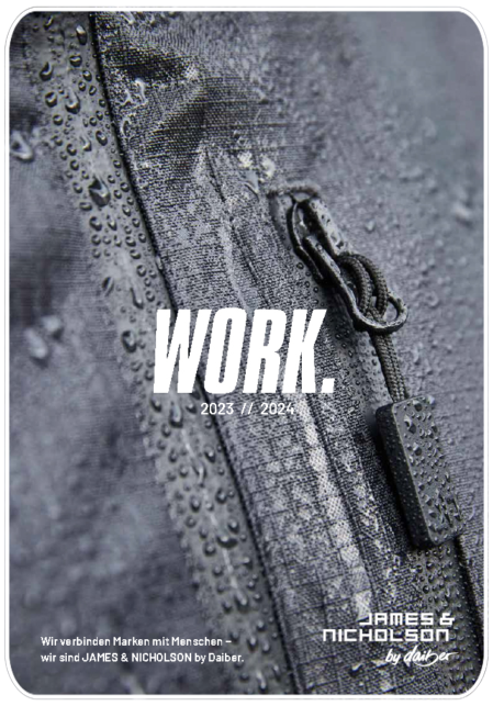 Work_2024_